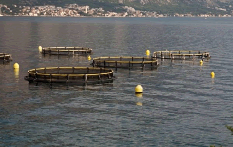 水產養殖