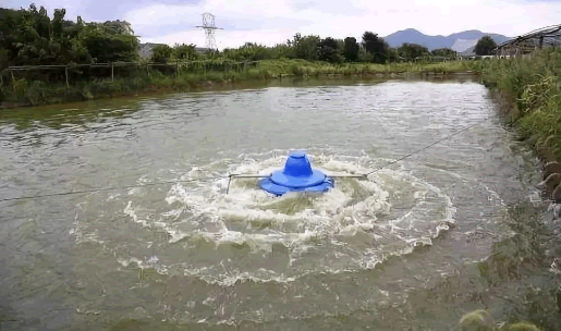 有機水產養殖1.png